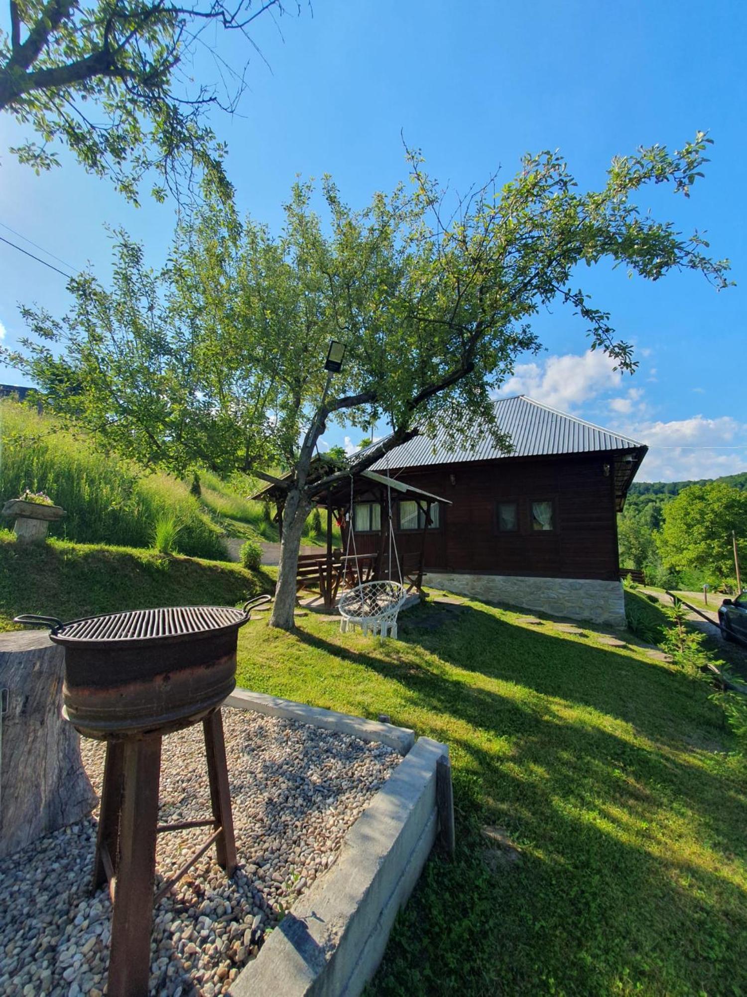 Cabana Valea Lui Mas Robaia Exterior foto